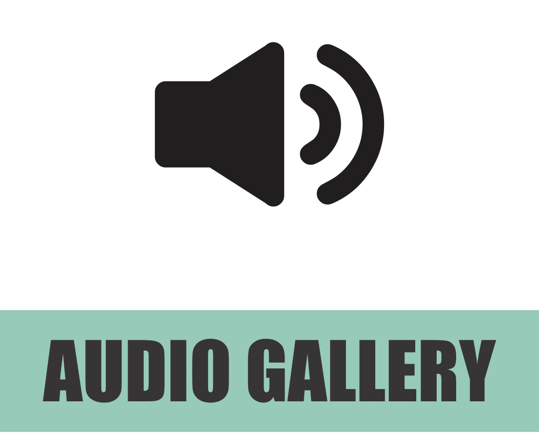 Audio